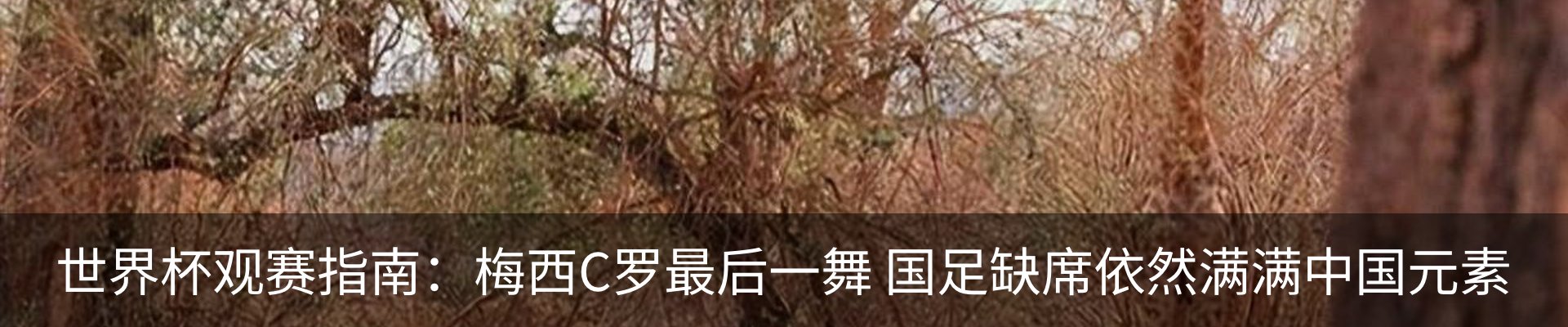 资讯中心