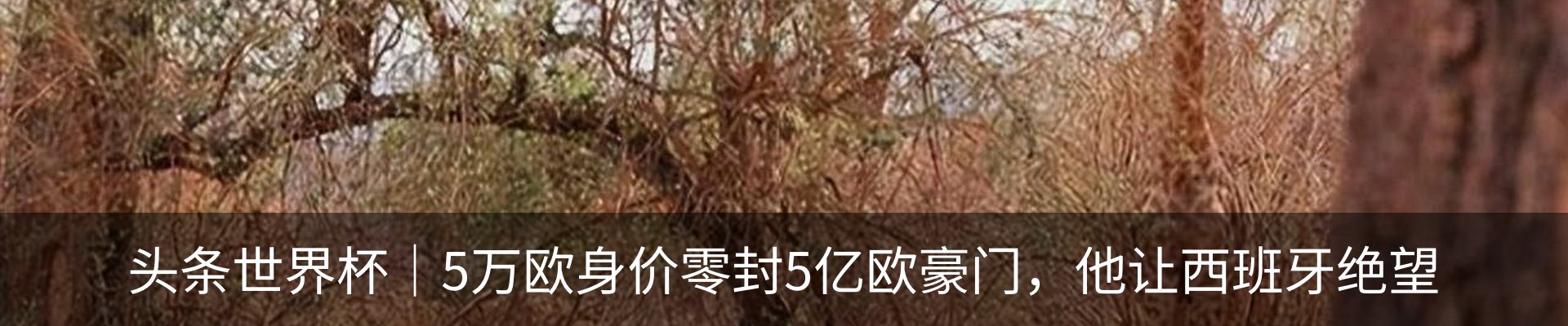 资讯中心