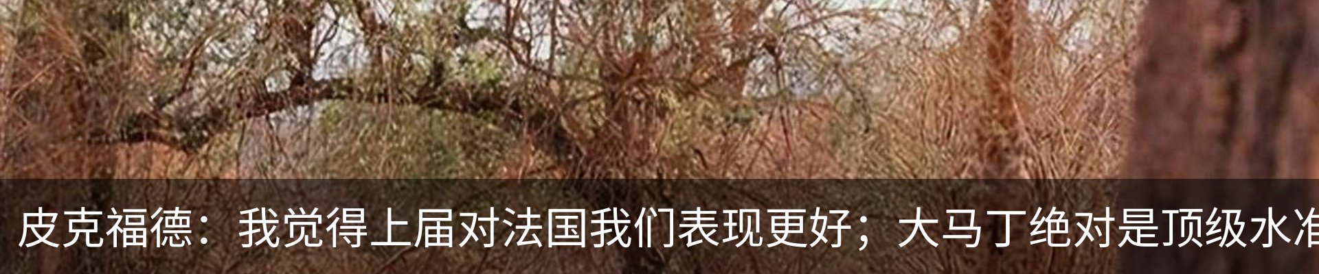 资讯中心