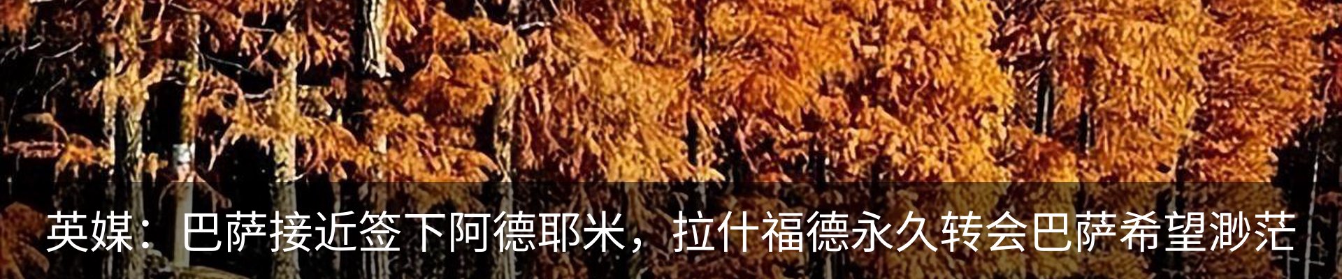 资讯中心
