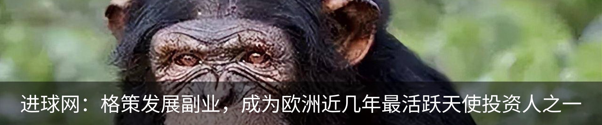 资讯中心
